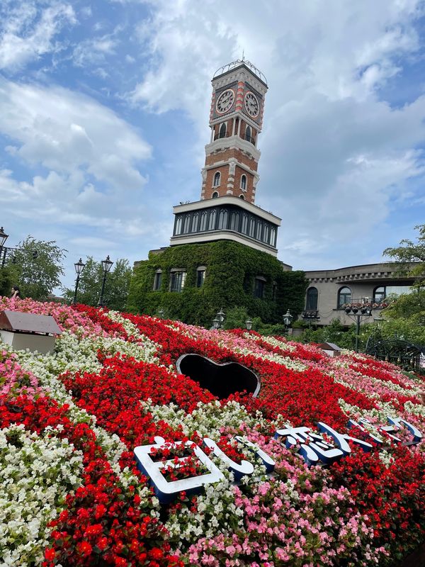 日本・北海道「夏の北海道」の写真