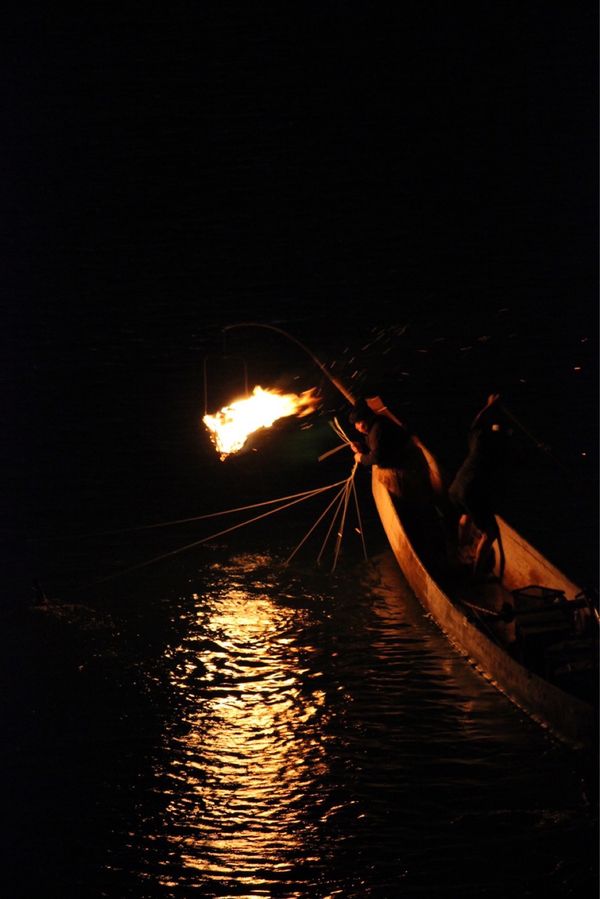 日本・岐阜県「鵜飼」の写真