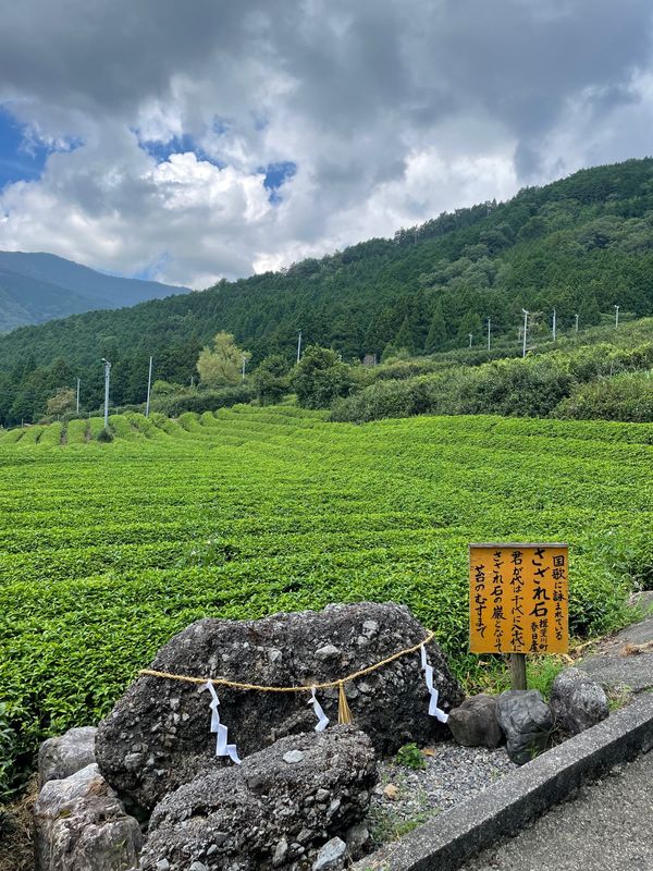 日本・岐阜県「鵜飼」の写真