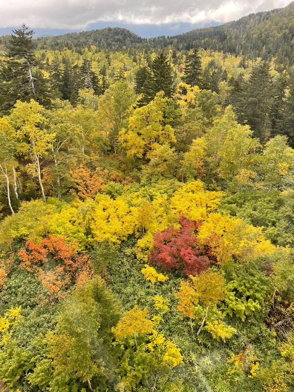 日本・北海道「紅葉と温泉を求めて…北海道」の写真