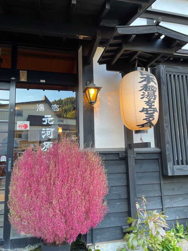 日本・蔵王「宮城、山形 紅葉と温泉」の写真