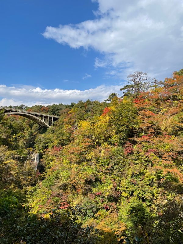 日本・蔵王「宮城、山形 紅葉と温泉」の写真