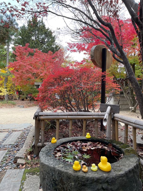日本・長野県「松本城、浅間温泉」の写真