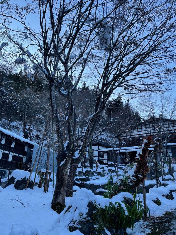 日本・湯沢「新潟 温泉旅行」の写真