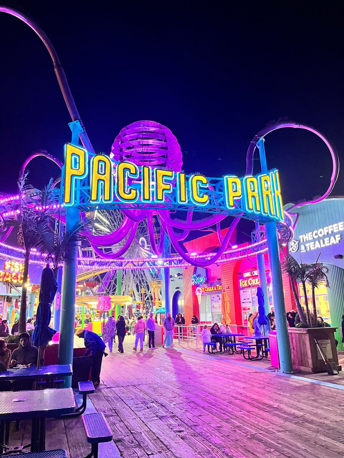 夜のサンタモニカとお馴染みのトレジャージョーズ！割と遅くまで開いてくれてる...