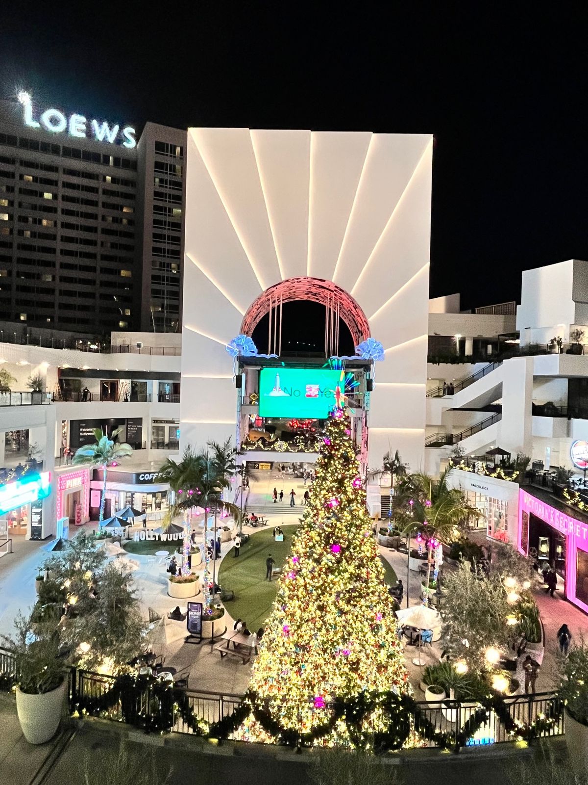 チャイニーズシアター🙌✨
夜は治安が悪そうでした。お昼間がベストかと思いま...