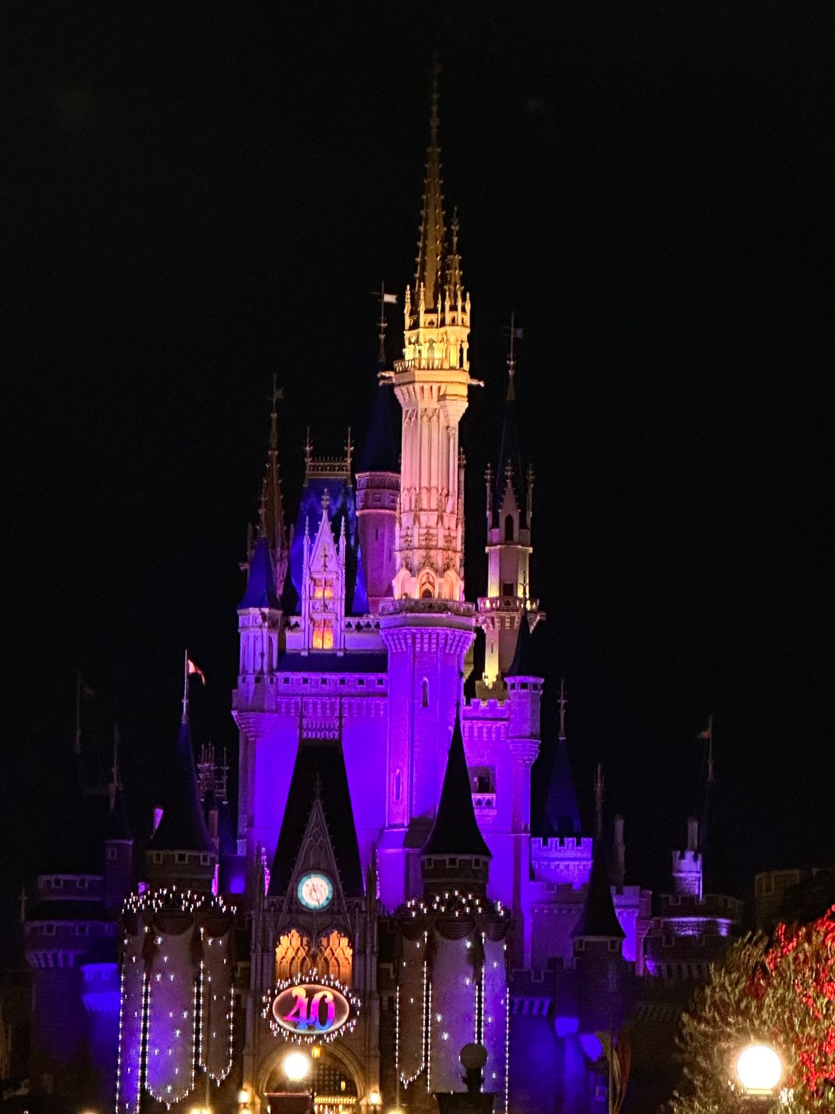 お腹も心も満足

