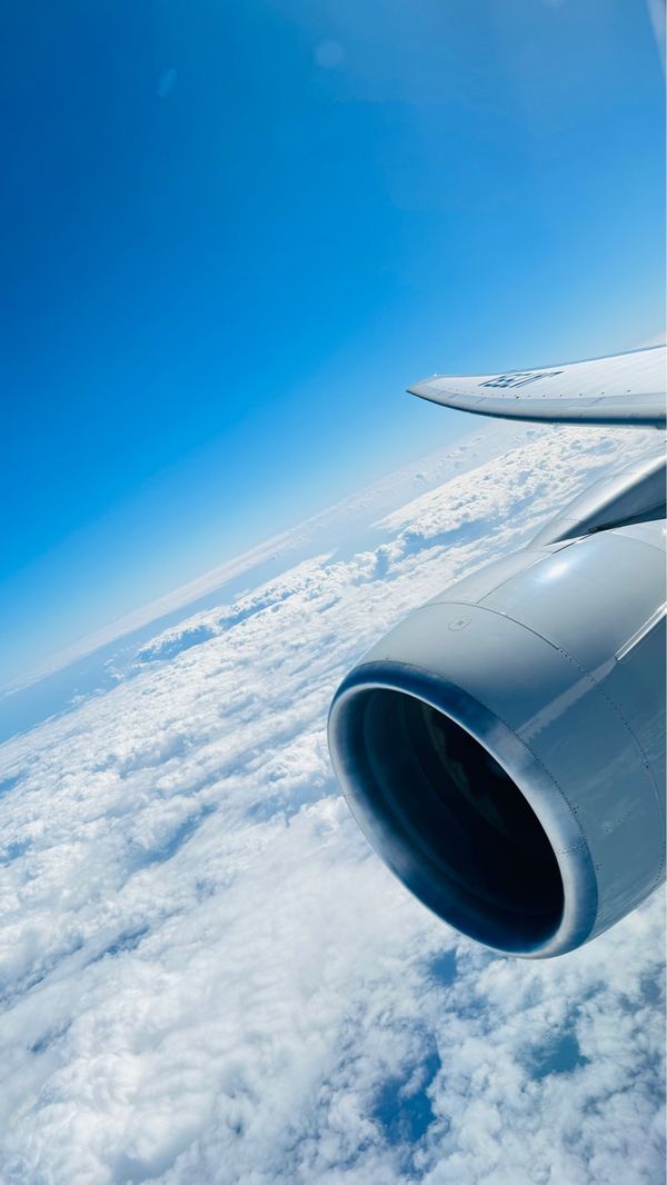 日本・沖縄県「沖縄県」の写真