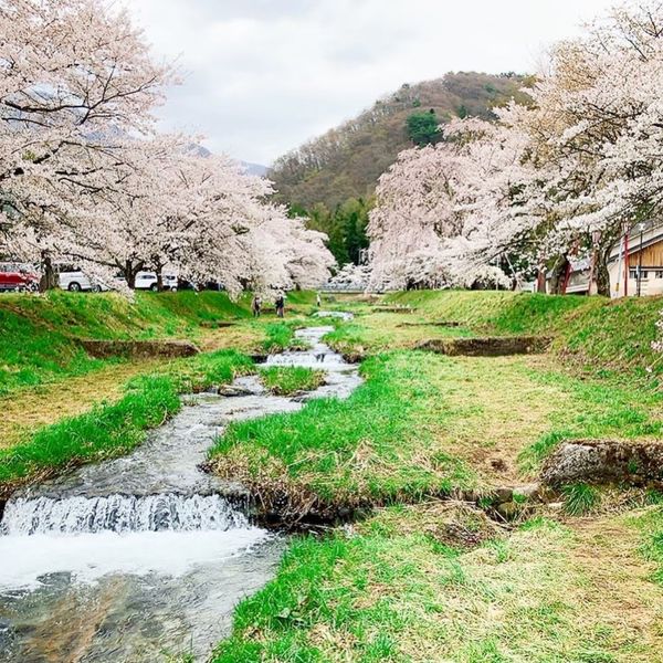 日本・福島県「2023春」の写真