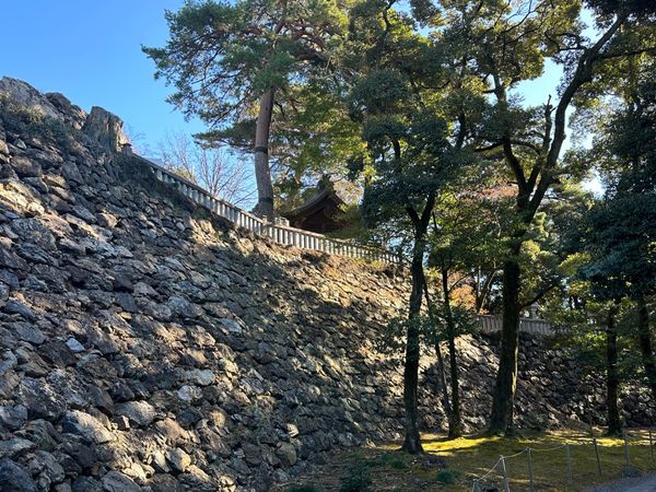日本・栃木県「唐沢山城」の写真