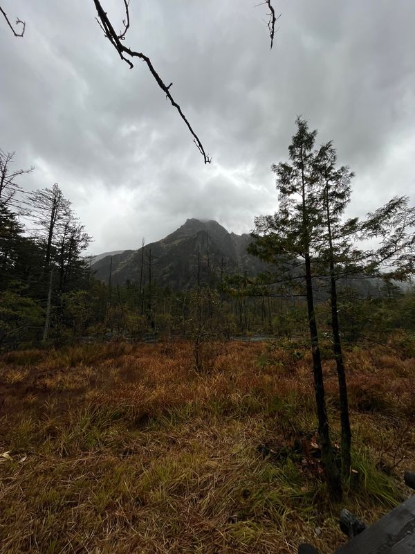 「夜の八ヶ岳」の写真