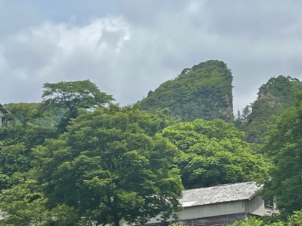 日本・新潟県「N コロナ禍　佐渡島」の写真