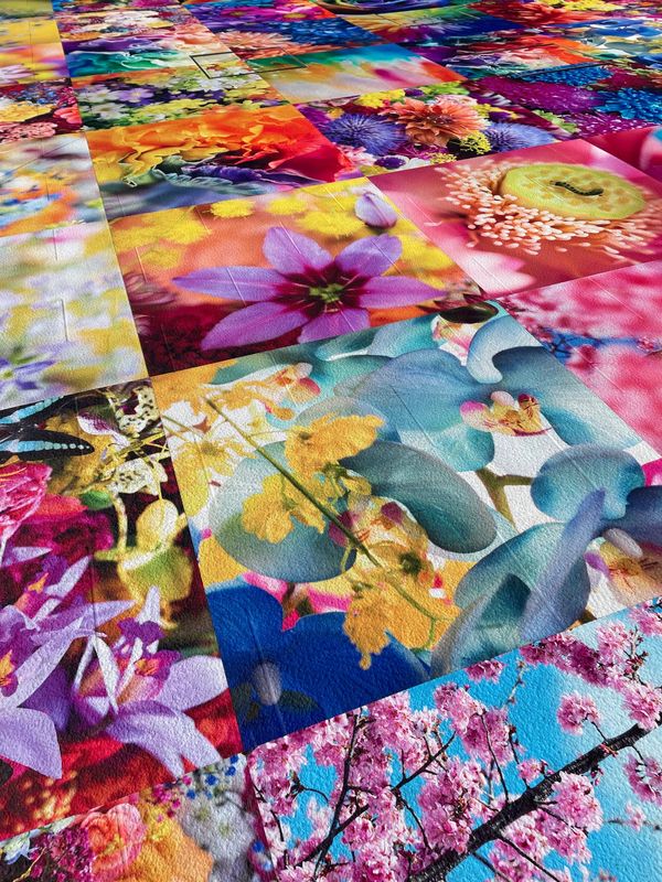 日本・愛媛県「Y 歴史旅　四国」の写真