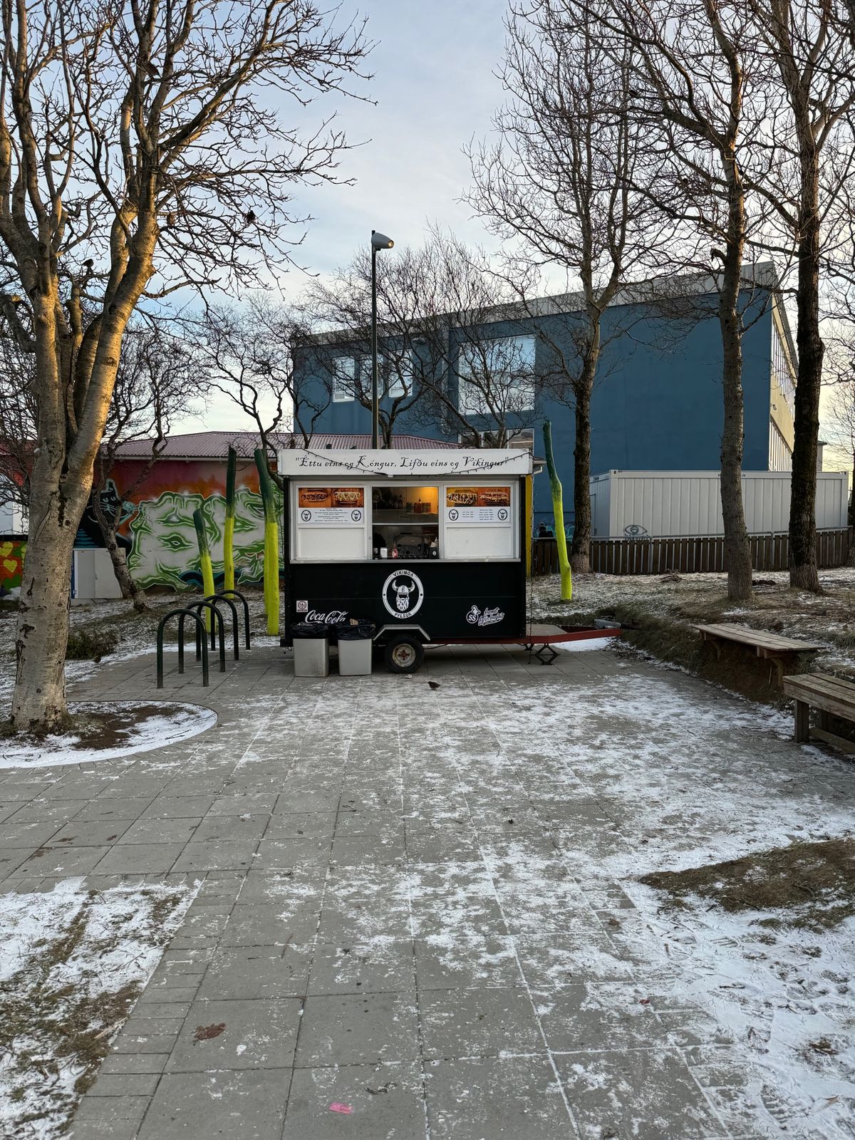 ホットドッグスタンド『Víkinga Pylsur』

ここもBæjari...