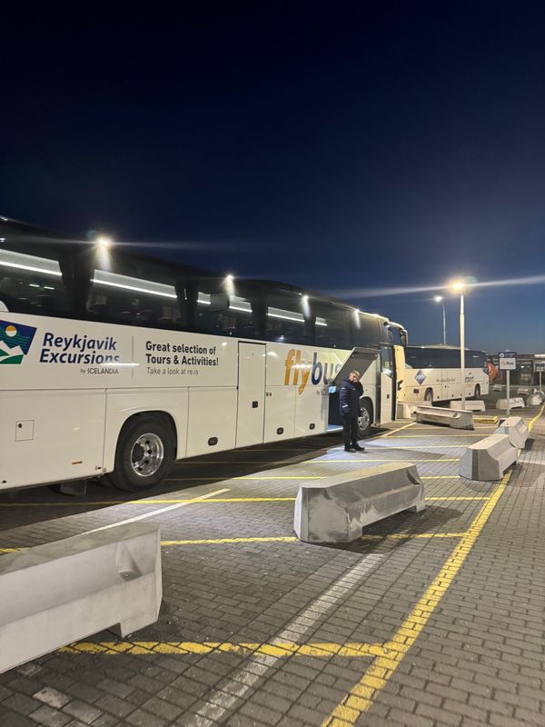 アイスランド・アイスランド「アイスランドで今度こそオーロラ！」の写真：アイスランドに到着！

預け入れの荷物が...