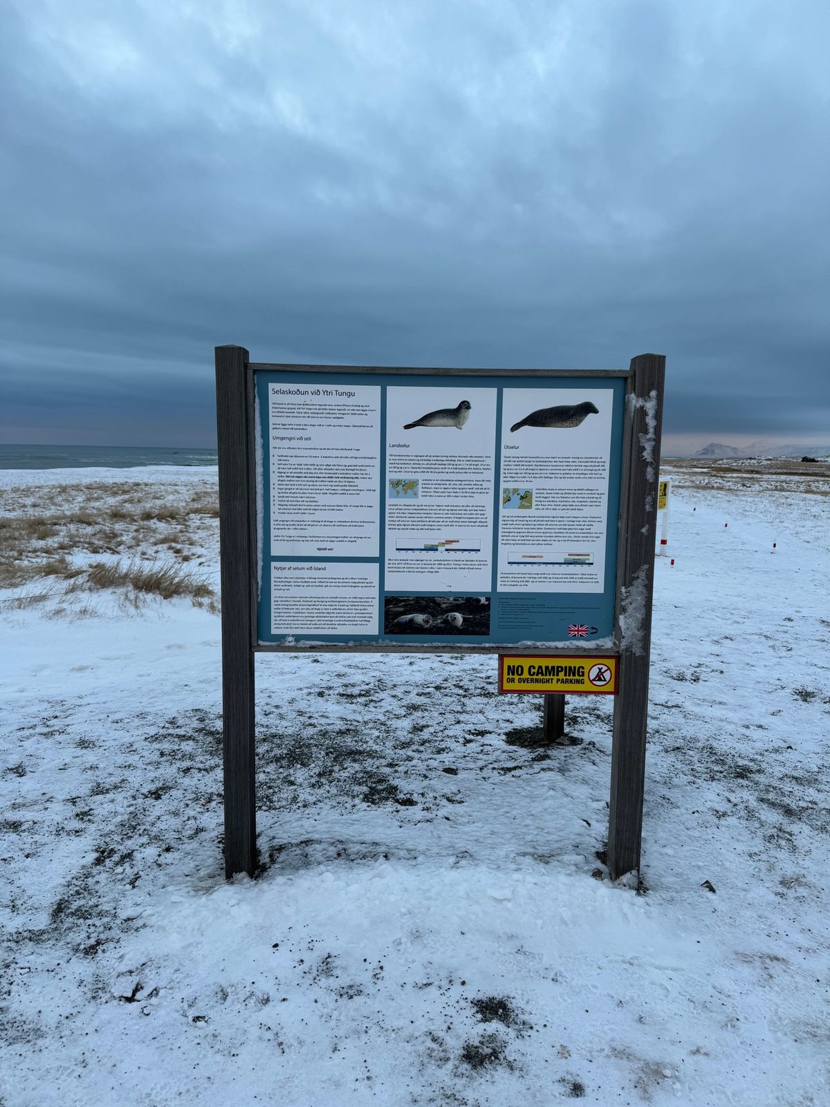 Ytri Tunga イーツリー・タンガ

アザラシ🦭がいる浜辺。何頭か見...