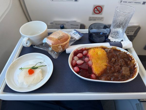 アイスランド・アイスランド「アイスランドで今度こそオーロラ！」の写真：ケフラヴィーク国際空港からヘルシンキのヴ...