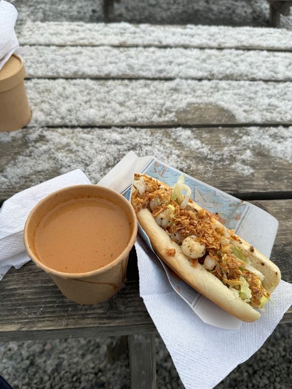 アイスランド・アイスランド「アイスランドで今度こそオーロラ！」の写真：Heimahumar &quot;Local La...