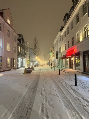 朝の8時頃。外は雪。まだまだ暗い。
今日はこれからツアーです。
まずはゴー...