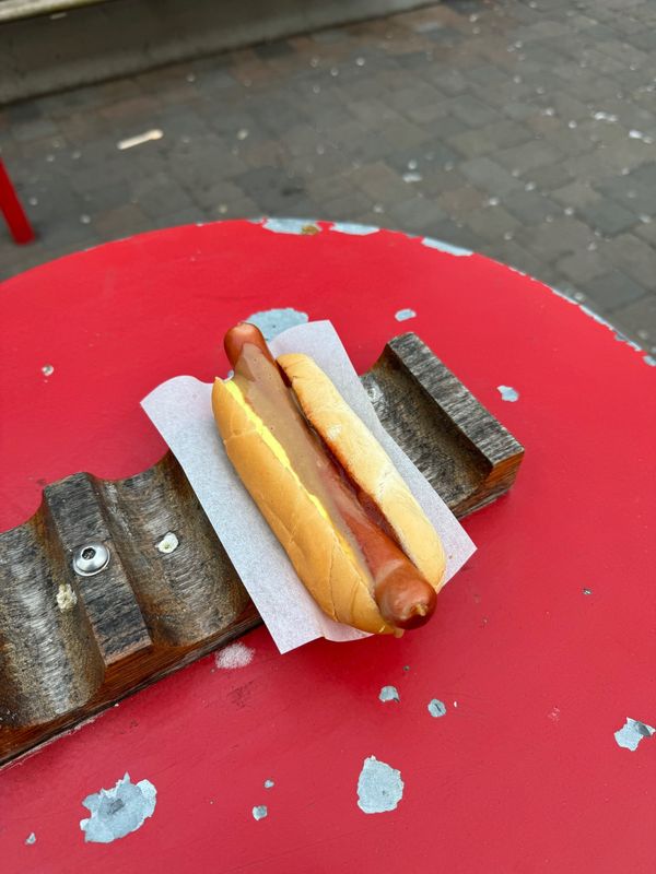 アイスランド・アイスランド「アイスランドで今度こそオーロラ！」の写真：Bæjarins Beztu Pylsu...