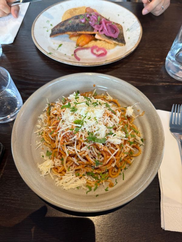 アイスランド・アイスランド「アイスランドで今度こそオーロラ！」の写真：スコゥガフォスの滝の直ぐ近くにあるスコゥ...