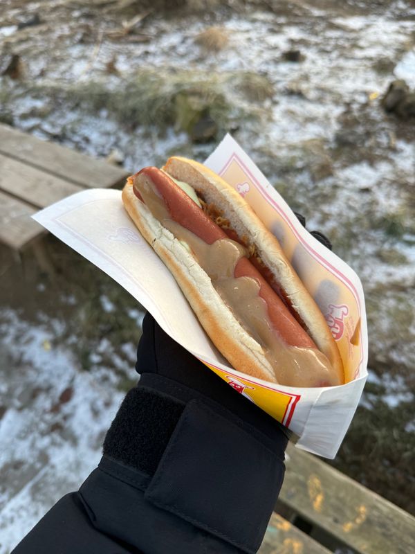 アイスランド・アイスランド「アイスランドで今度こそオーロラ！」の写真：ホットドッグスタンド『Víkinga P...