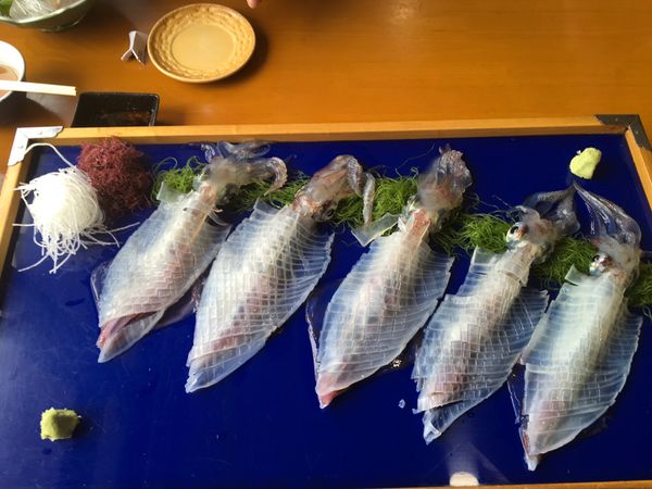 日本・佐賀県「S 福岡」の写真