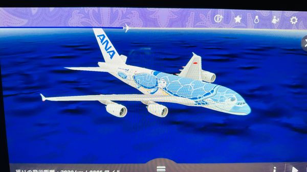 アメリカ(米国)・ハワイ「祖母をハワイに連れて行く旅」の写真：モニターの中の飛行機もホヌになってて可愛...