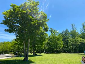 湯川ふるさと公園