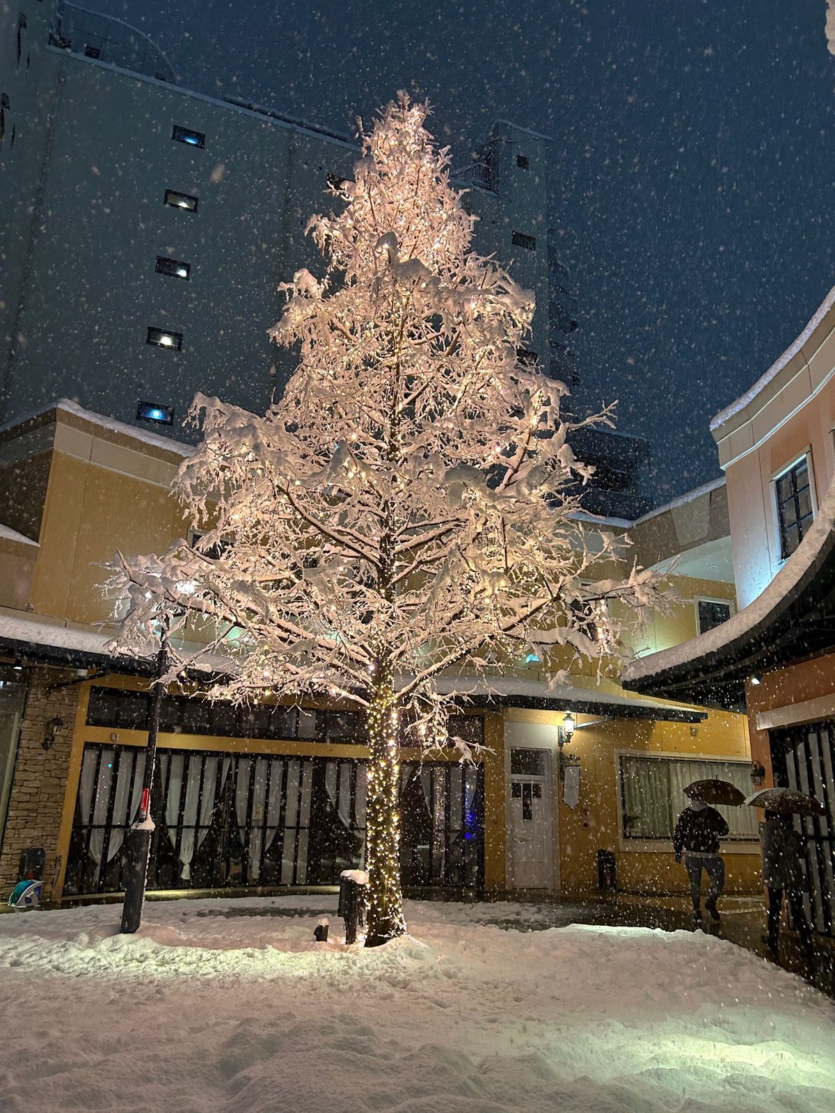 金沢、本気の積雪
寒いけどすごく綺麗だし蟹と寒鰤美味しい