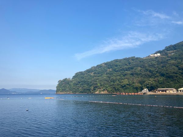 日本・大瀬崎「海水浴」の写真