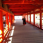 Narの旅行プロフィール