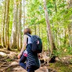 ayns4698の旅行プロフィール