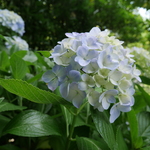 お狸の旅行プロフィール