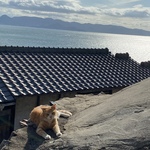 hatsukoの旅行プロフィール