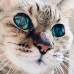 cat_dog_310の旅行プロフィール