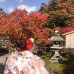 Mrn ✈︎の旅行プロフィール