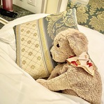 サリ🐤の旅行プロフィール