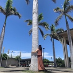 Ruriの旅行プロフィール