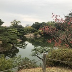 Ayumi の旅行プロフィール