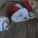 山本  久美子の旅行プロフィール