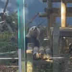  Panchan119の旅行プロフィール