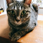 chiの旅行プロフィール