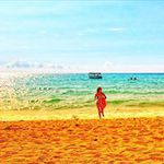 山下 麻理子の旅行プロフィール