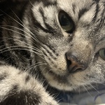 nyama0719の旅行プロフィール