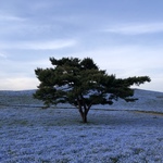 AKNの旅行プロフィール