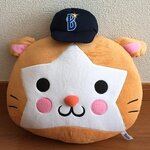 dmtt21の旅行プロフィール