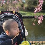 Chie Numataの旅行プロフィール