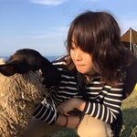 藤田 彩の旅行プロフィール