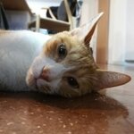 3Rzinfandelの旅行プロフィール